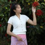 50011 เสื้อผ้าฝ้ายพื้นเมืองหญิง "บัวนวล" สีขาว