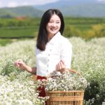 50008 เสื้อผ้าฝ้ายผู้หญิง ทรงคอป้าย เนื้อชินมัย "กรองทอง" สีขาว