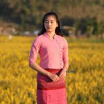 50307 เสื้อผ้าฝ้ายพื้นเมืองผู้หญิง เนื้อชินมัยอัดกาว "วิสาระดี" สีกลีบบัว - Image 3